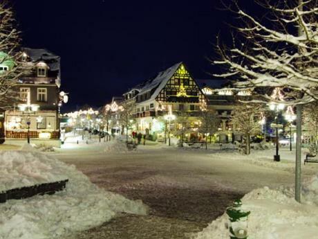 Stadtwohnung Schneeflocke Winterberg Eksteriør billede
